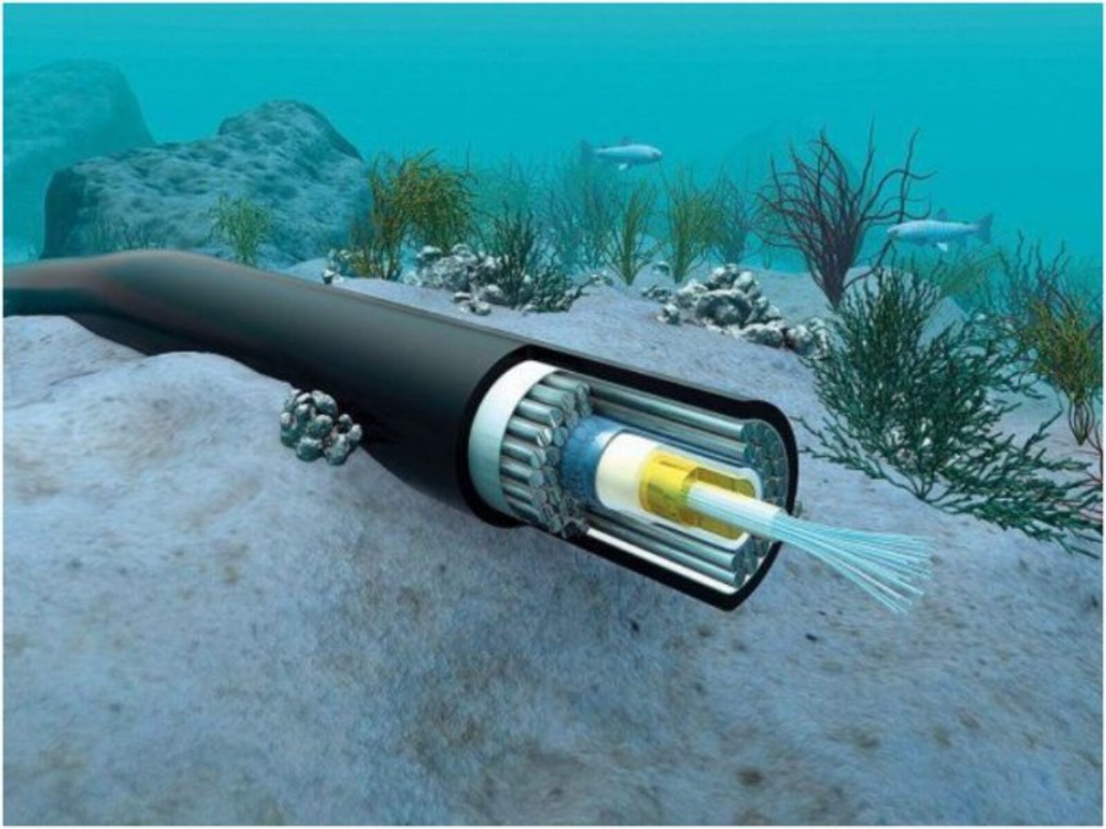 cable submarino de Google Firmina