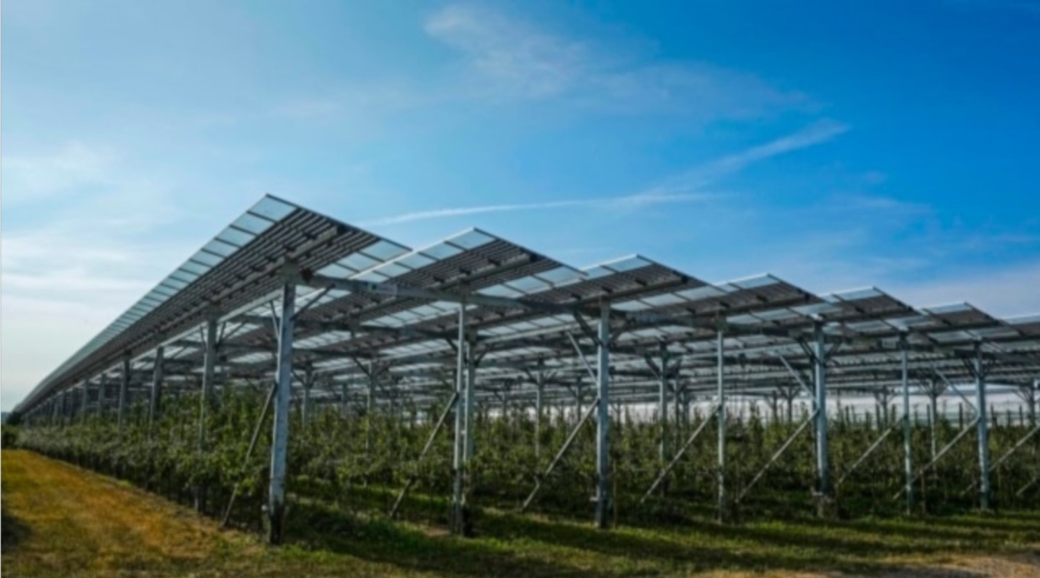 Conclusiones sobre el uso de paneles solares en la agricultura
