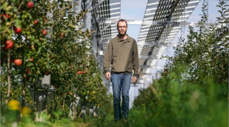 Agricultor que utiliza equipos solares